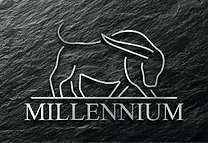 Millennium Finance